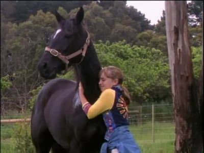 Still from Found Horse (1)
