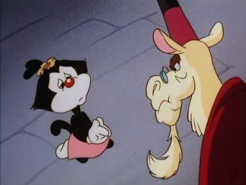 Still from Wally Llama