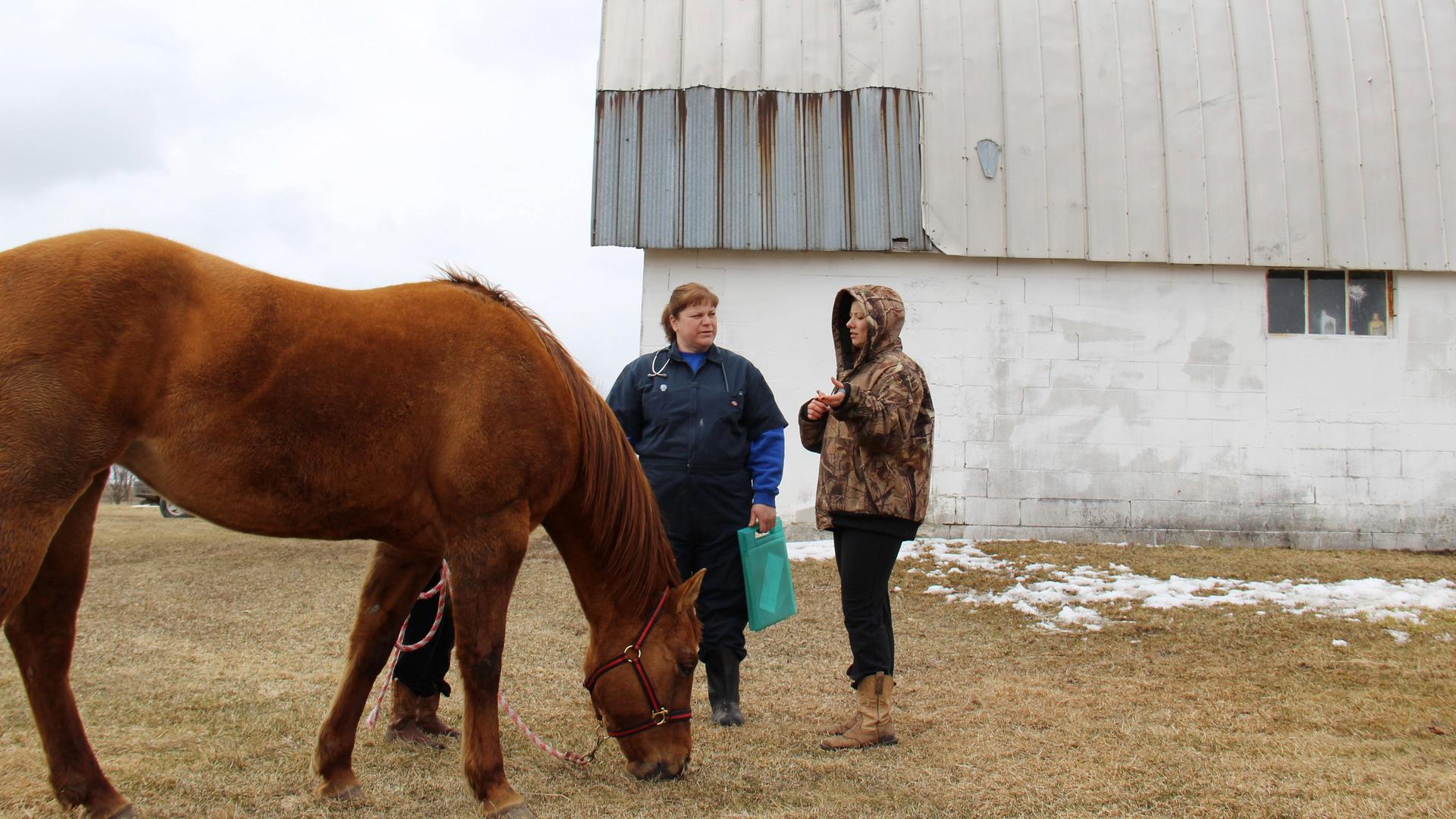 Still from Pigs in a Blanket