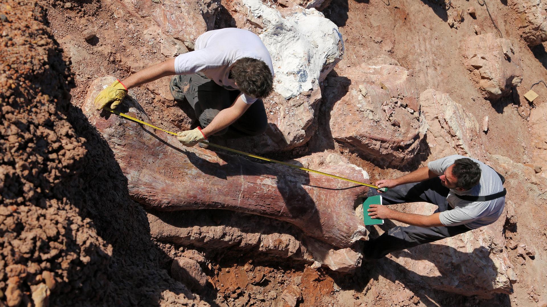 Still from Raising the Dinosaur Giant