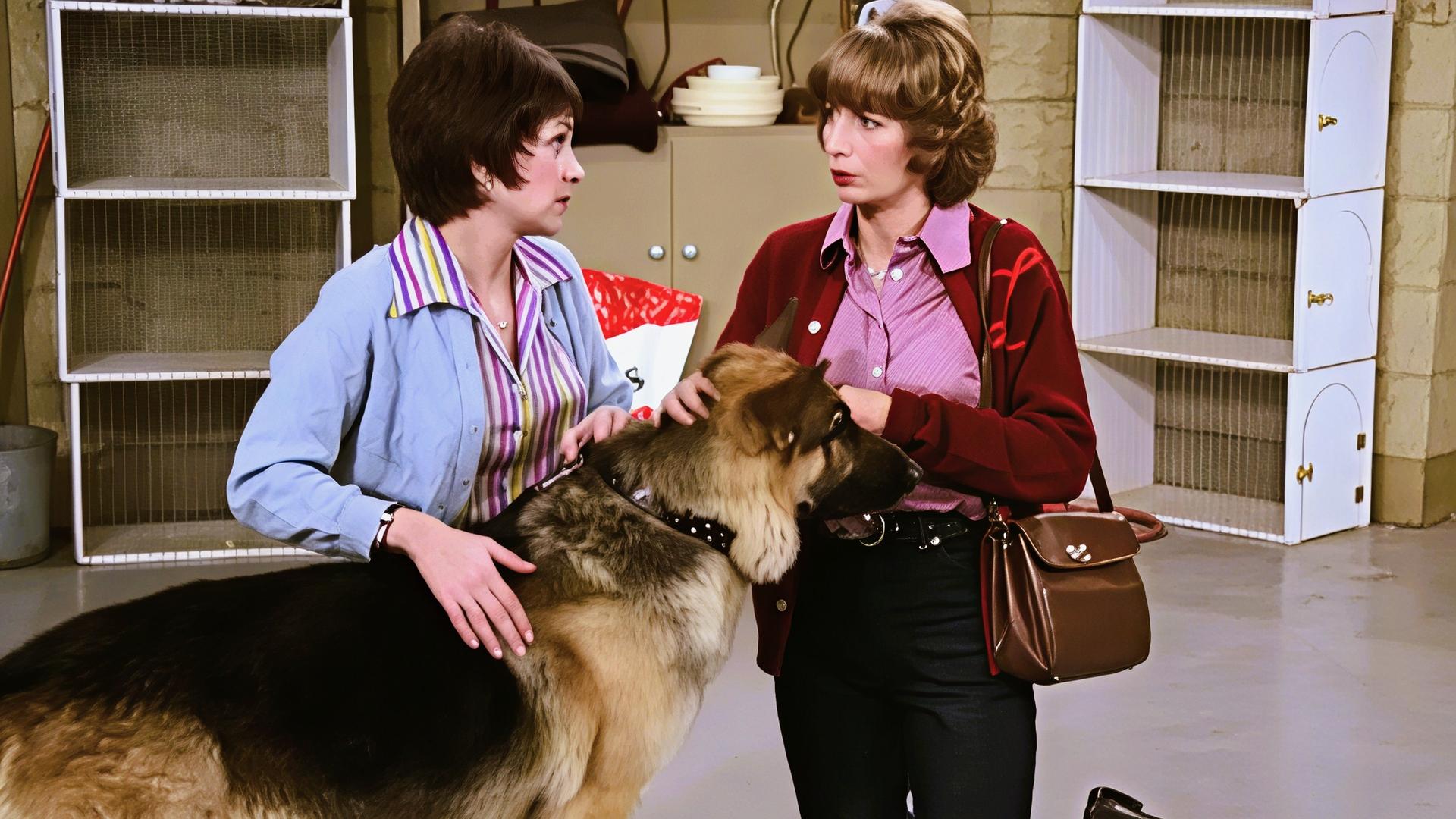 Still from It's a Dog's Life