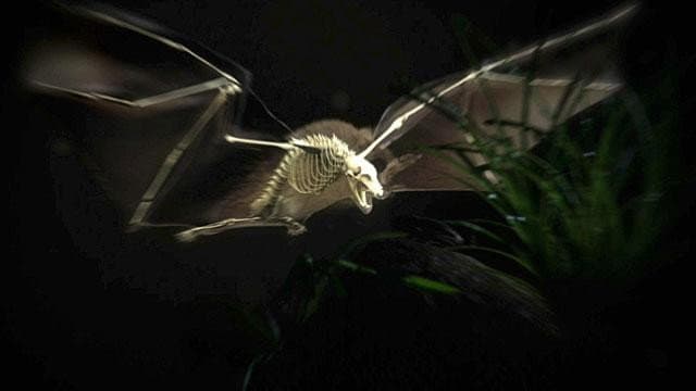 Still from Moment of Impact: Jungle