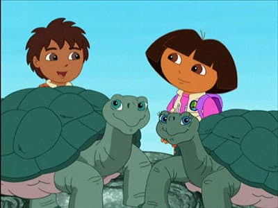 Still from Save The Giant Tortoises