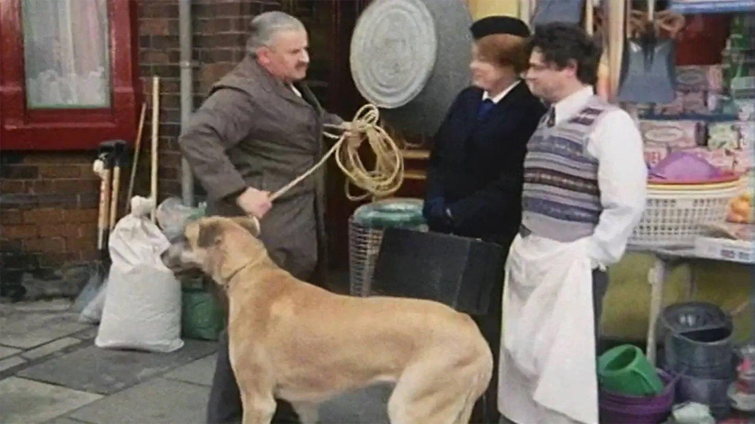 Still from Beware of the Dog