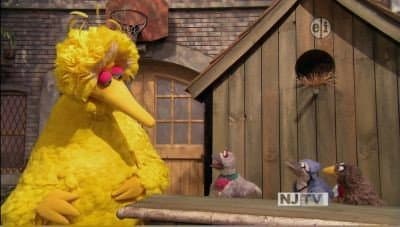 Still from The Good Birds Club
