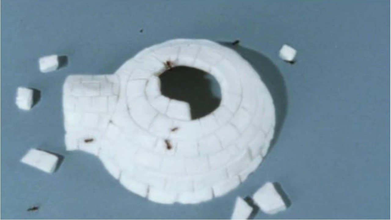 Still from Water