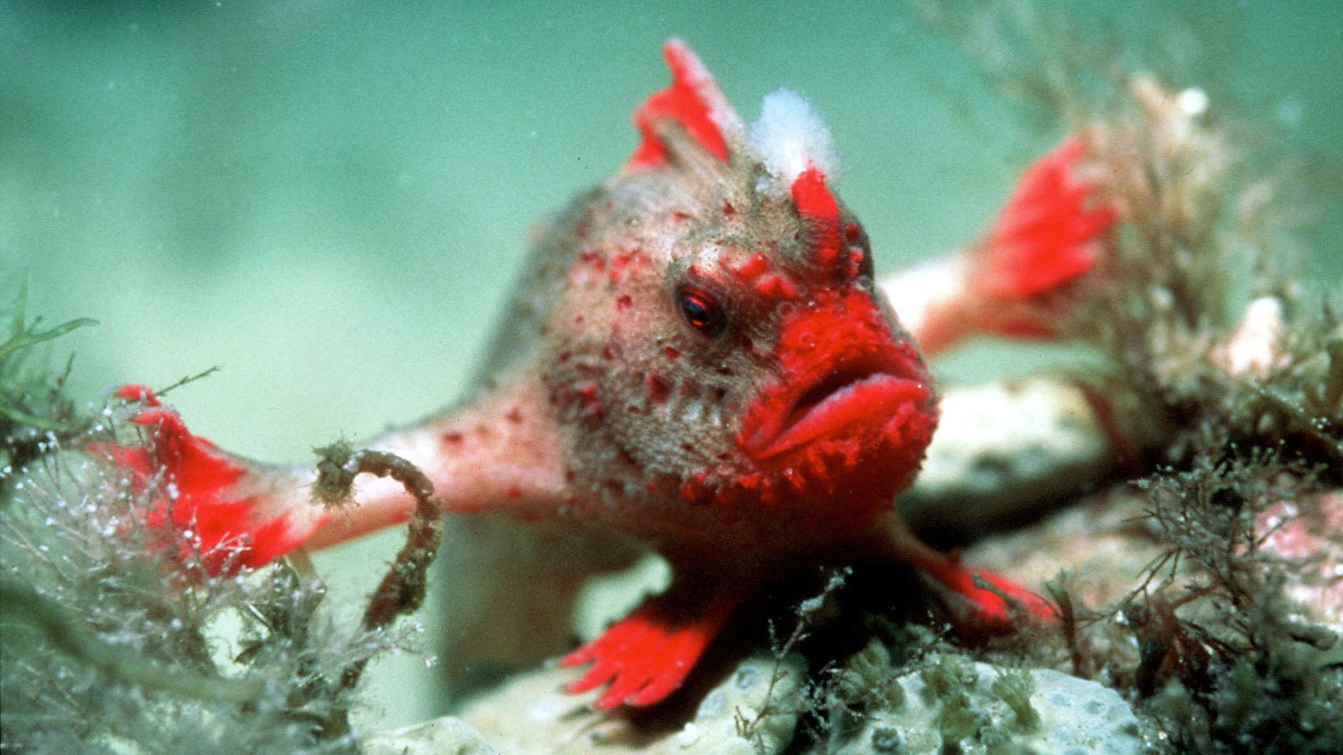 Still from Seasonal Seas