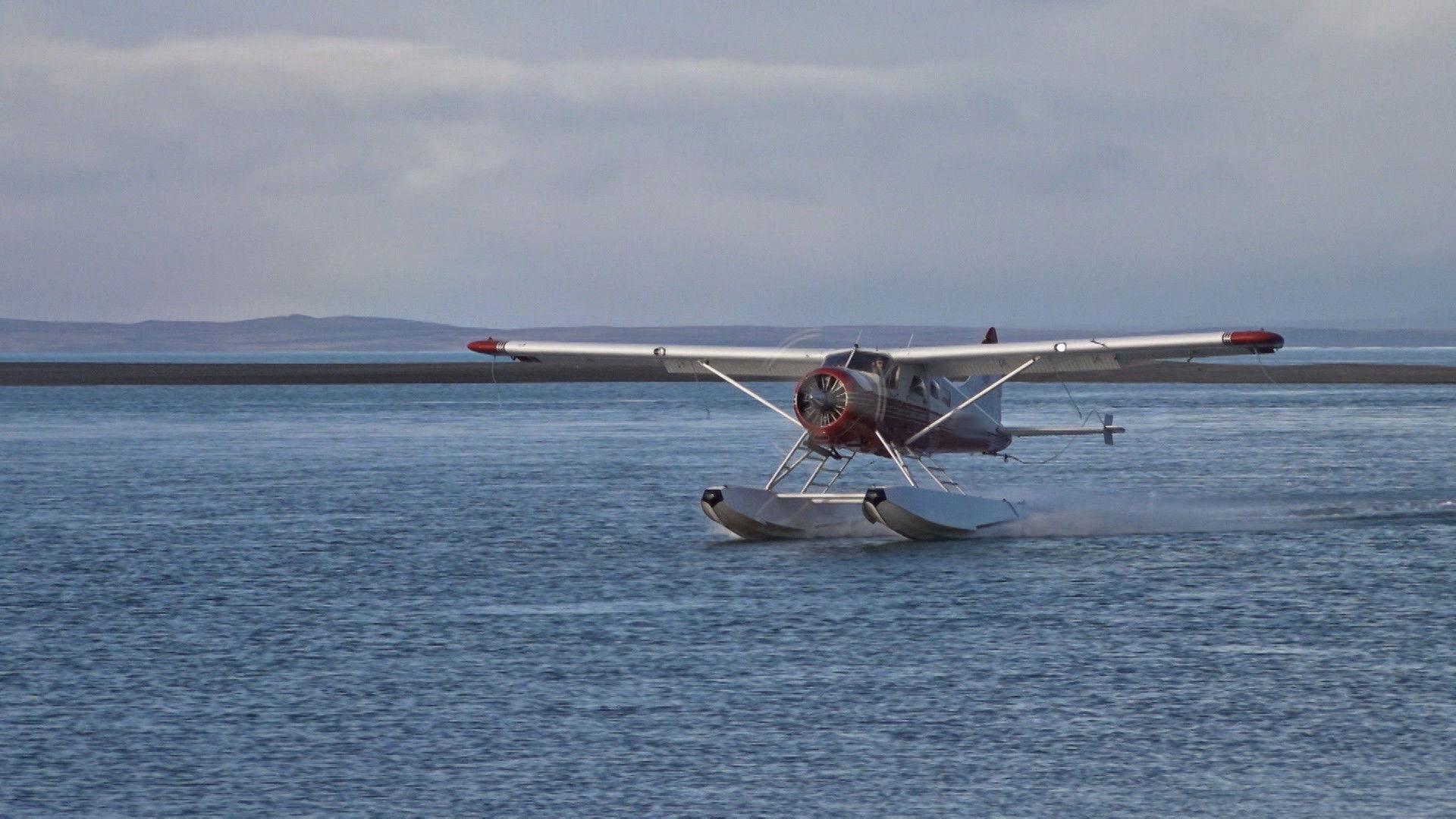 Still from Brawl of the Wild