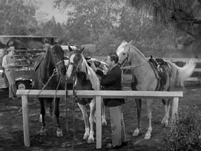 Still from Mister Ed's Blues