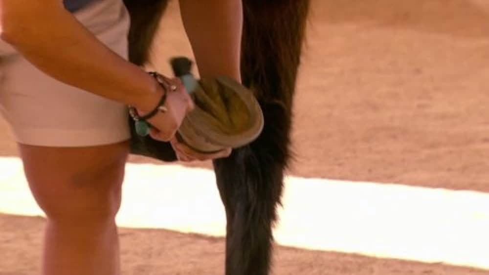 Still from Horse Whisper to a Scream