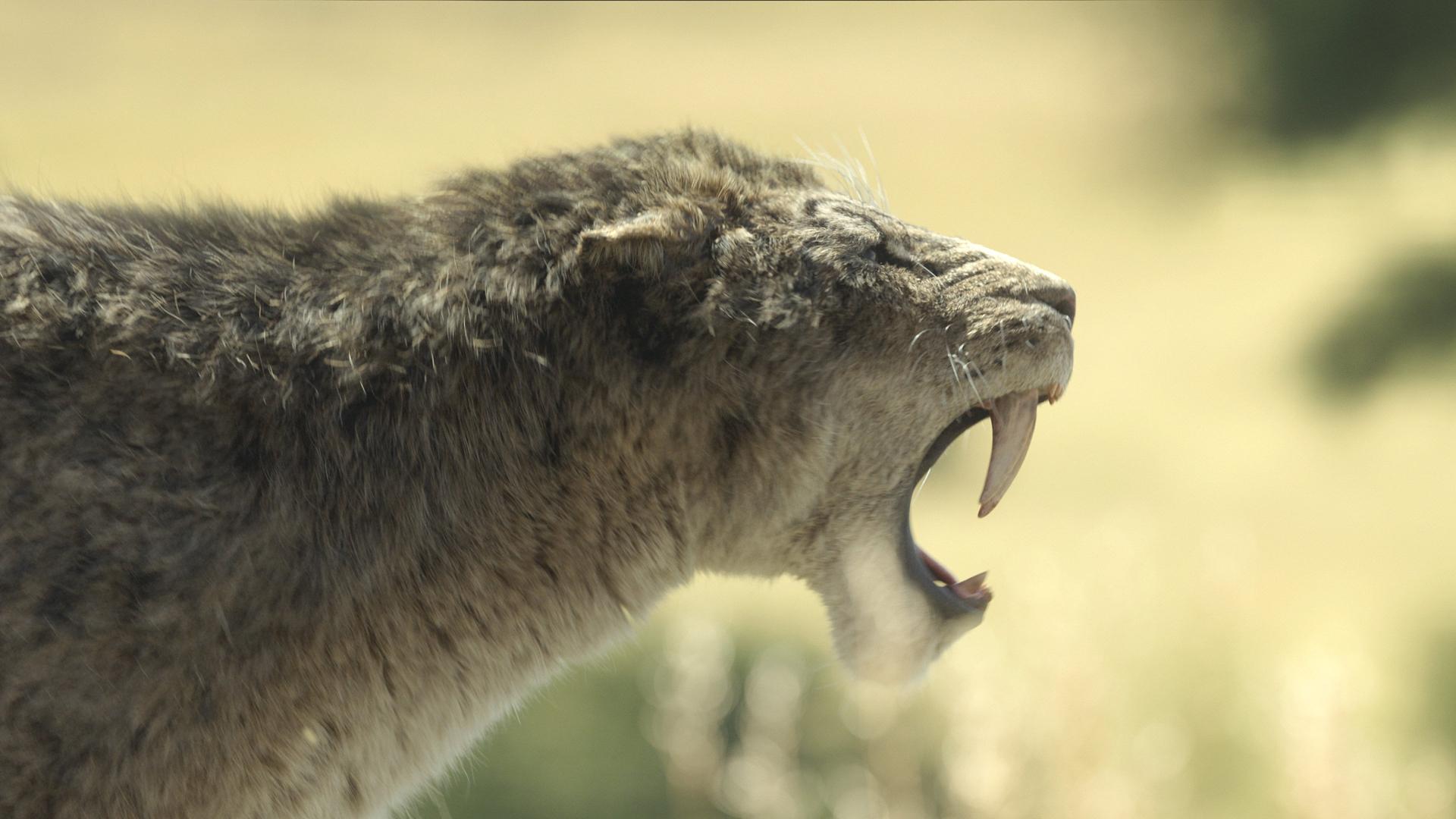 Still from Grass Lands