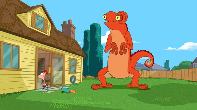 Still from The Lizard Whisperer