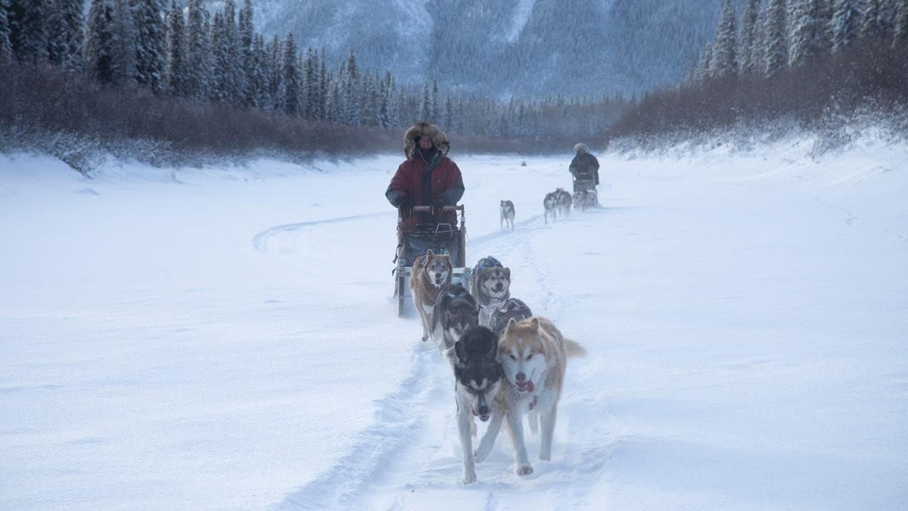 Still from Winter’s Surprise