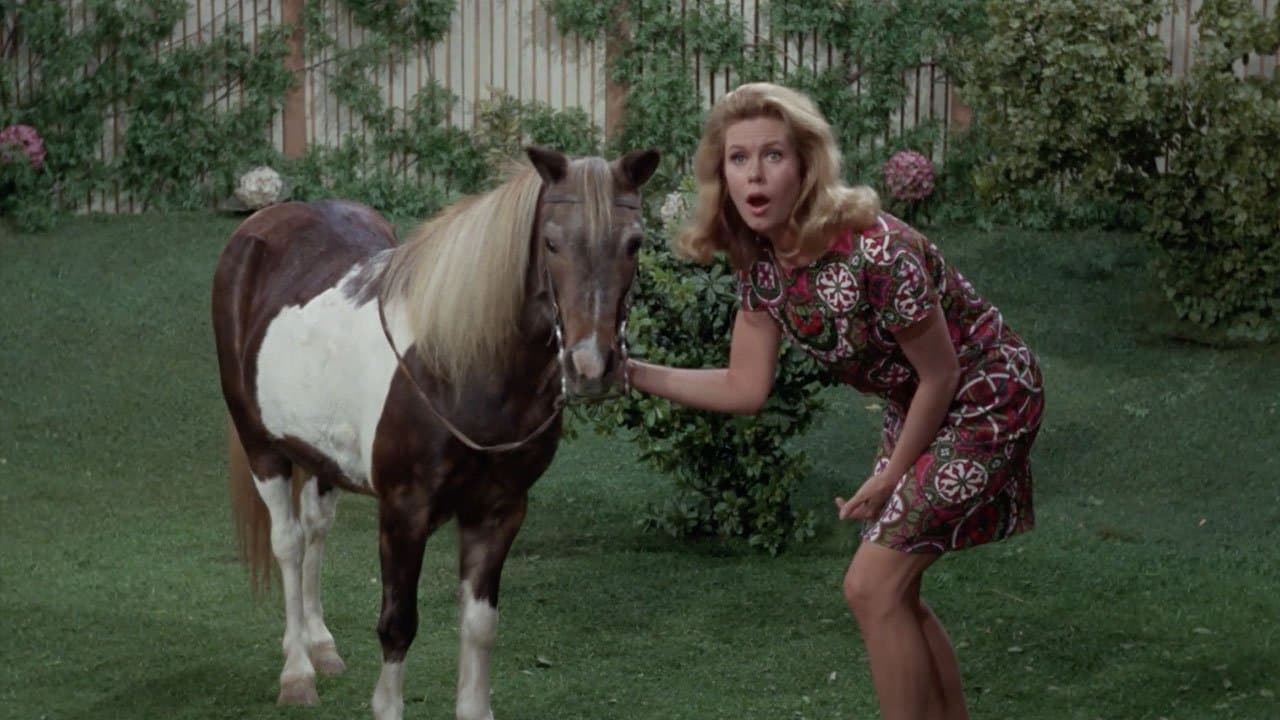 Still from Solid Gold Mother-in-Law