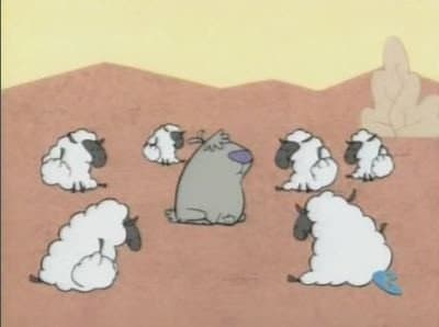 Still from Sheep Dogs