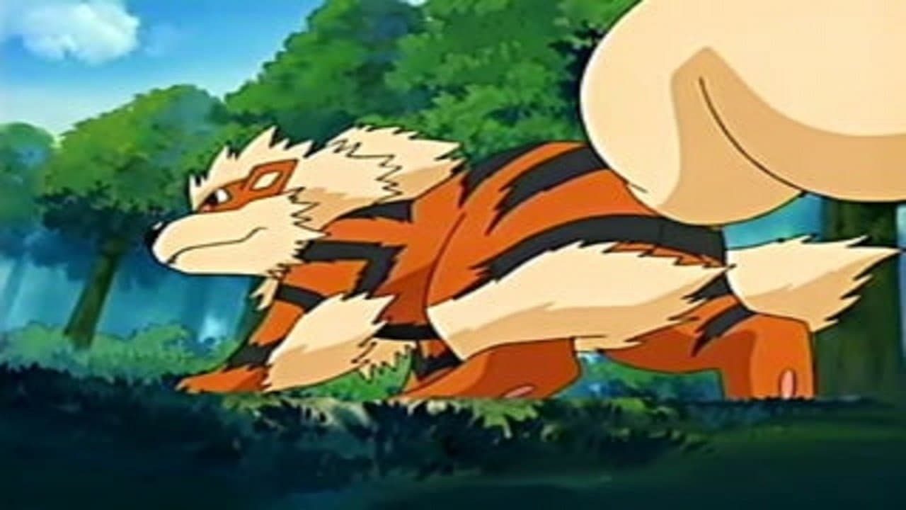 Still from On Cloud Arcanine