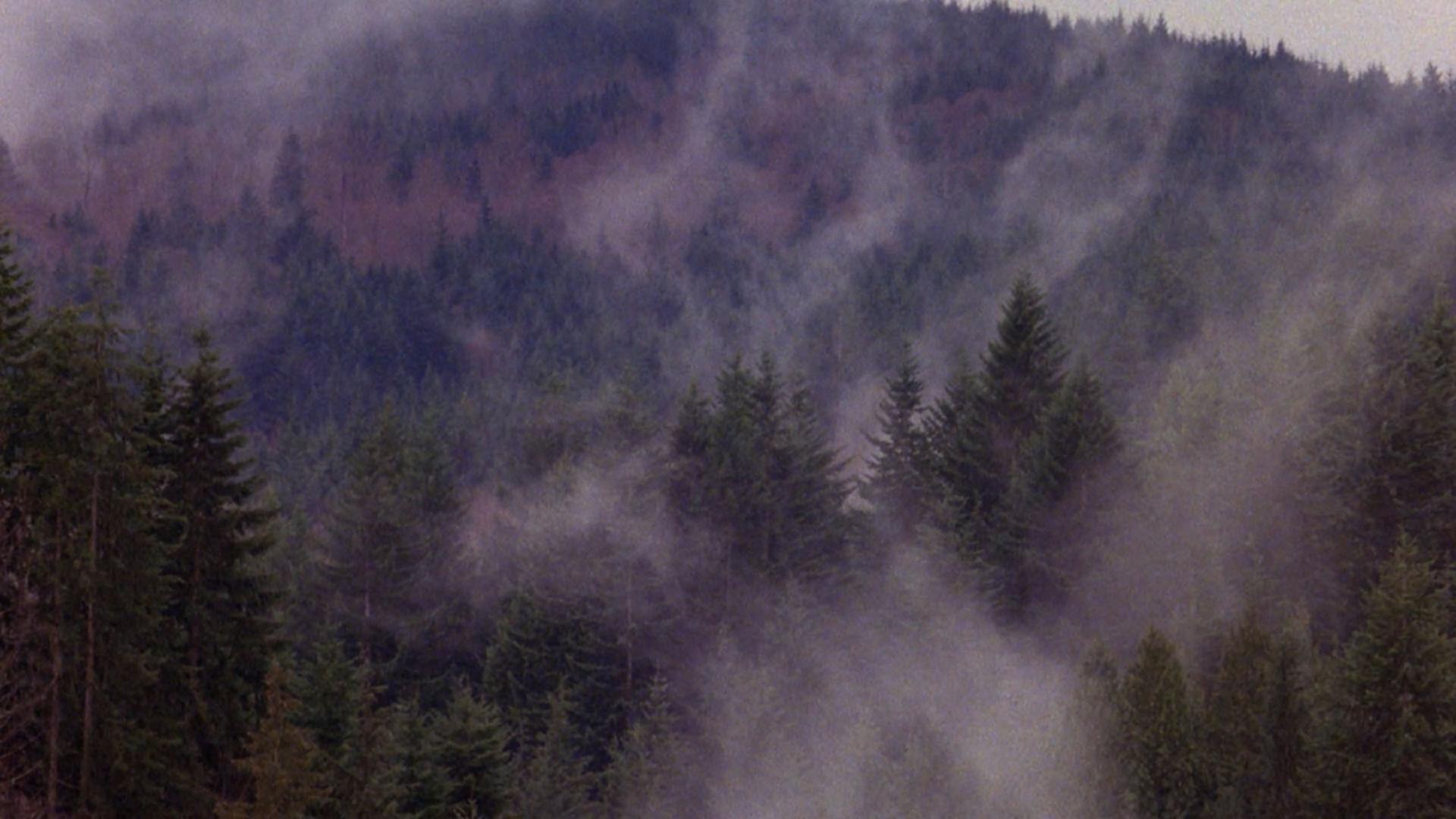 Still from Atmospherics