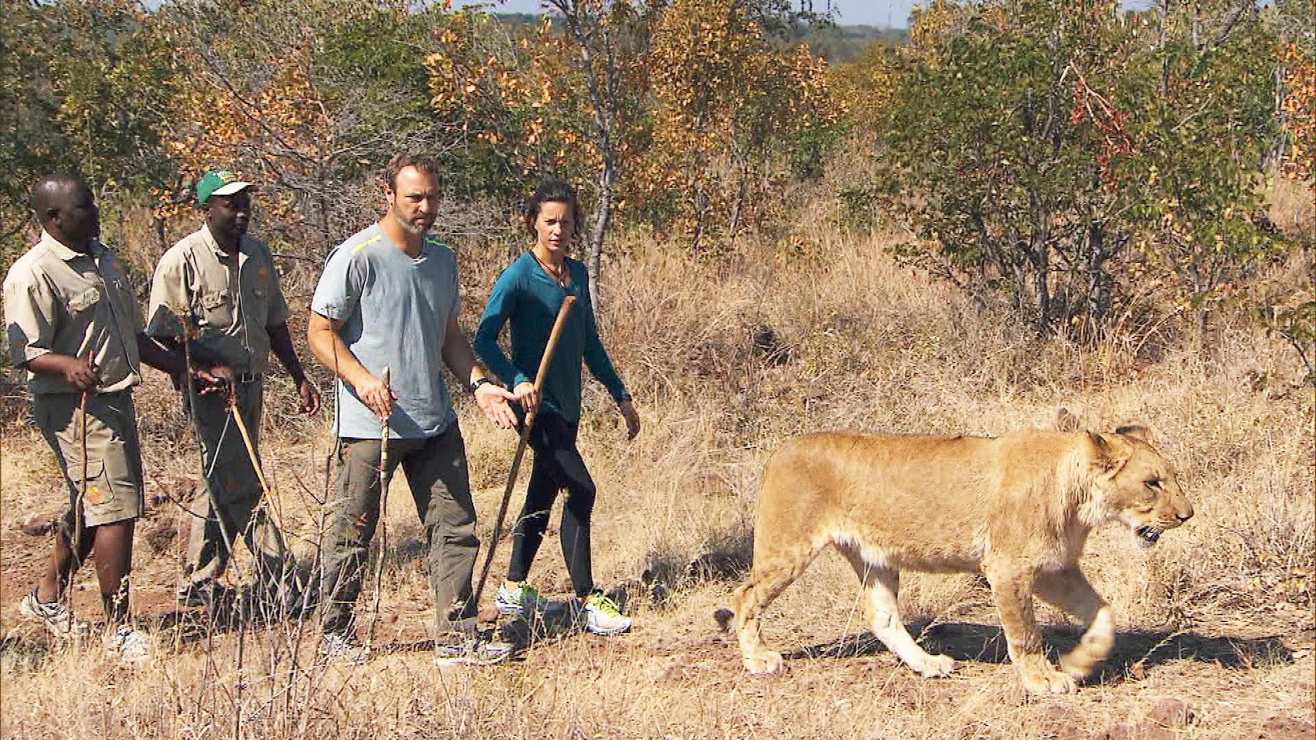 Still from King of the Jungle