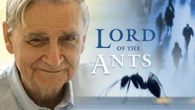 Still from Lord of the Ants