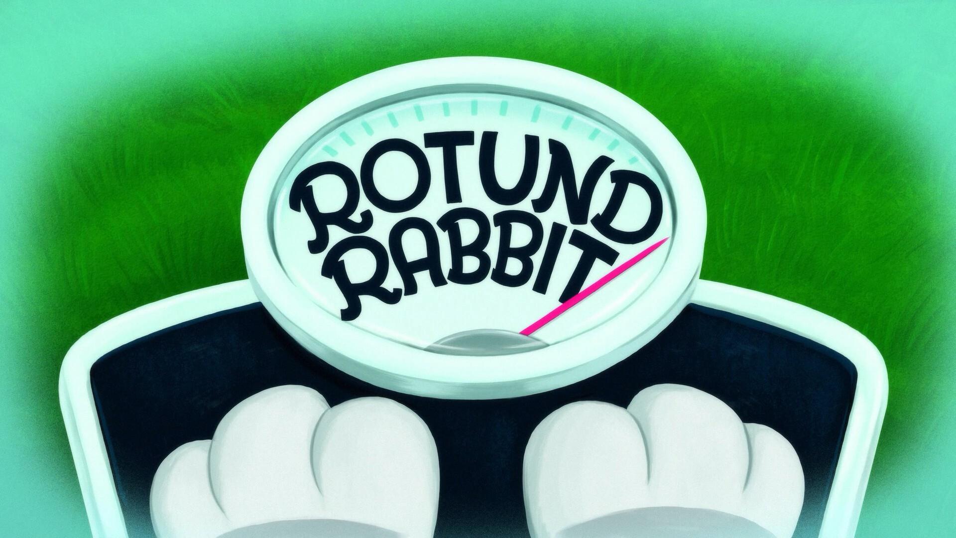 Still from Rotund Rabbit