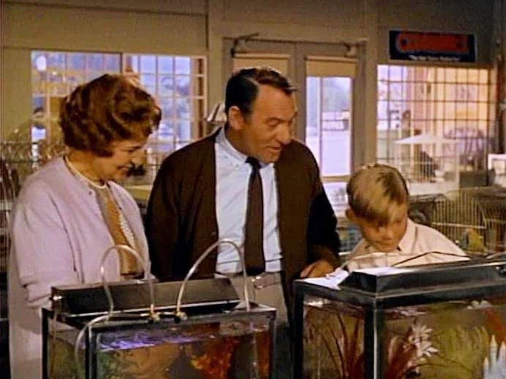 Still from Hazel Needs a Car