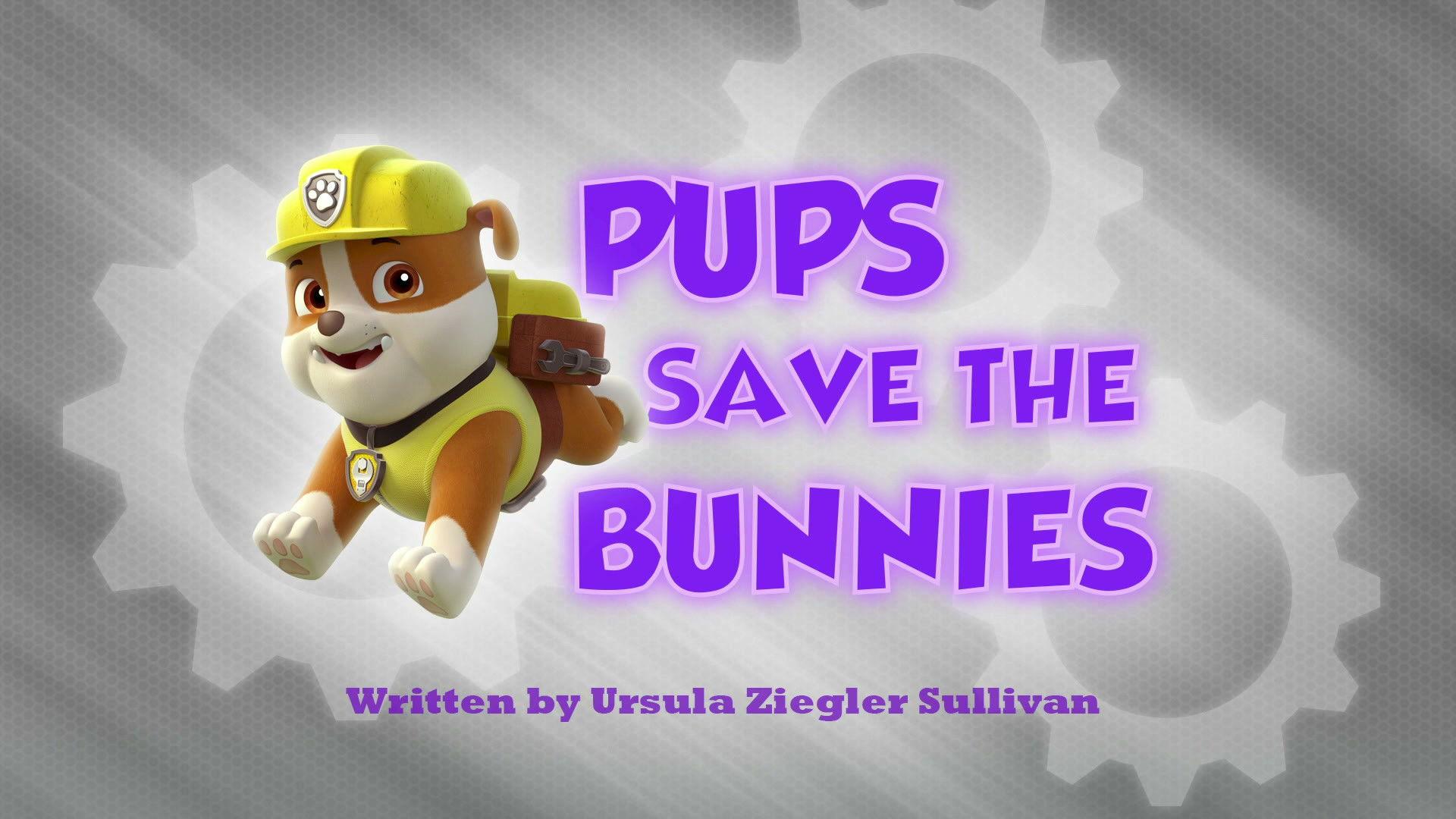 Still from Pups Save the Bunnies