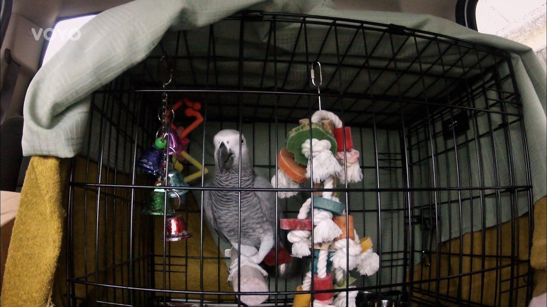 Still from Love at First Flight