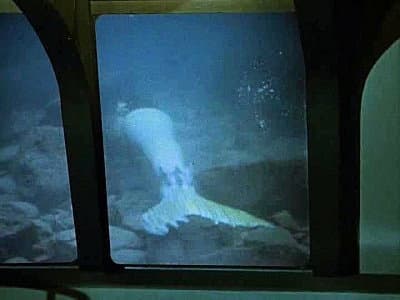 Still from The Mermaid