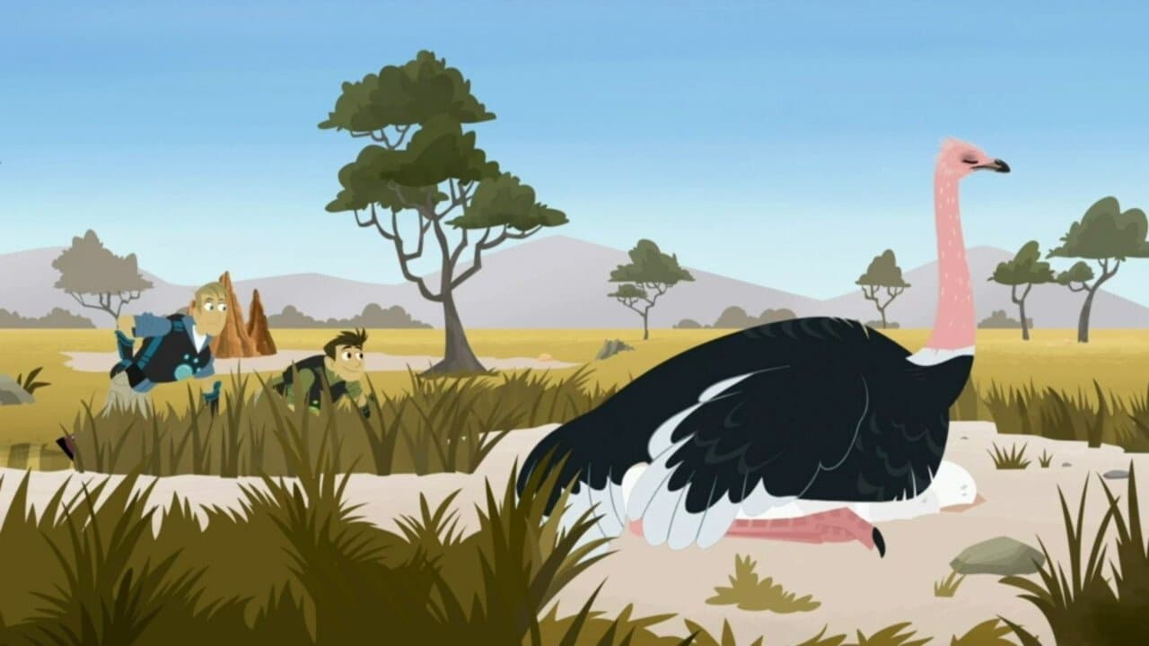Still from Uh-Oh Ostrich