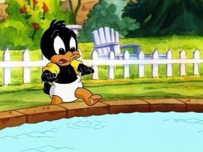 Still from Like a Duck to Water