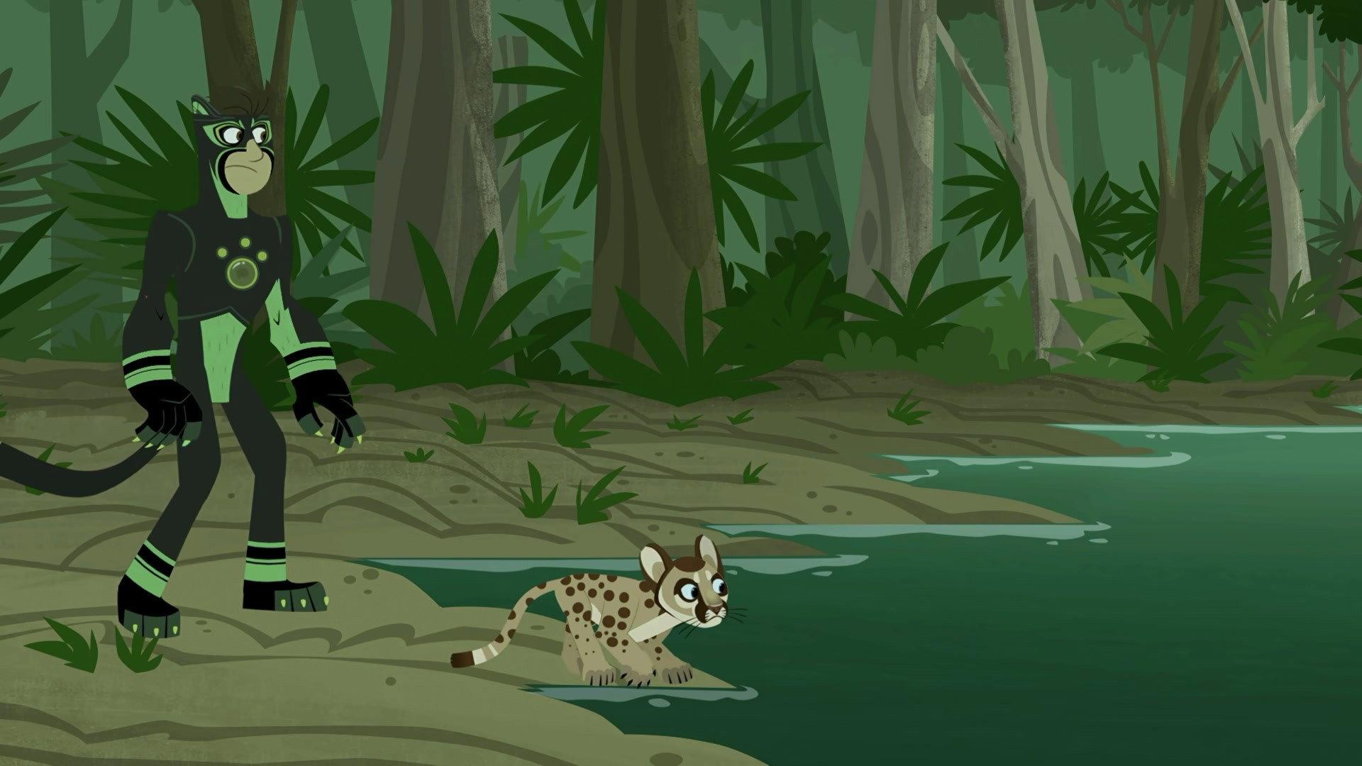Still from Search for the Florida Panther