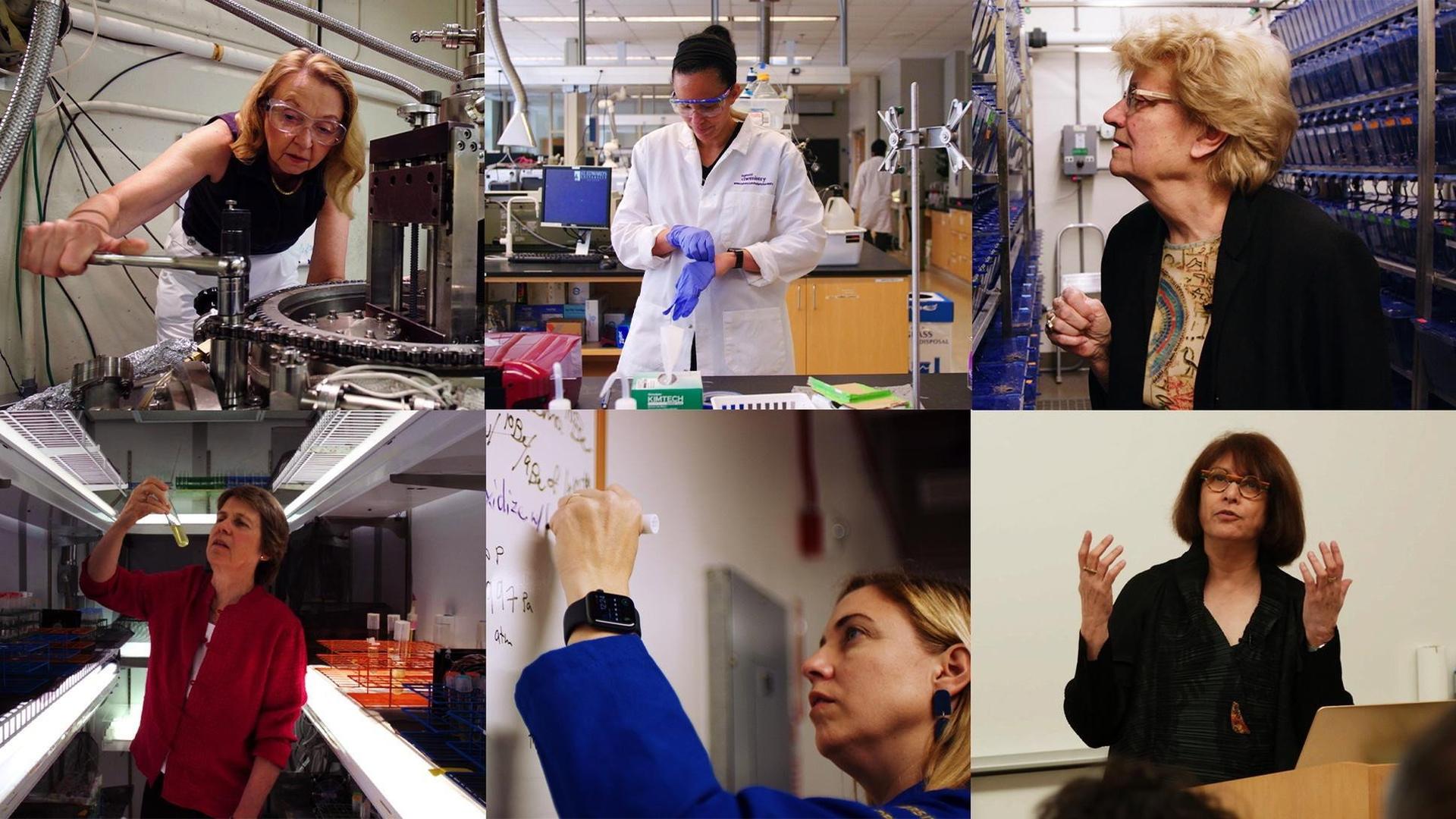 Still from Picture a Scientist/ Search Engine Breakdown