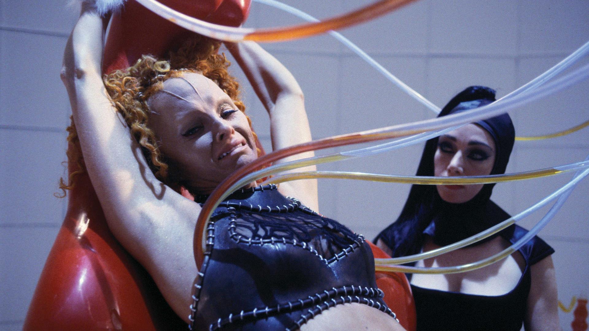 Still from Scratch 'n Sniff