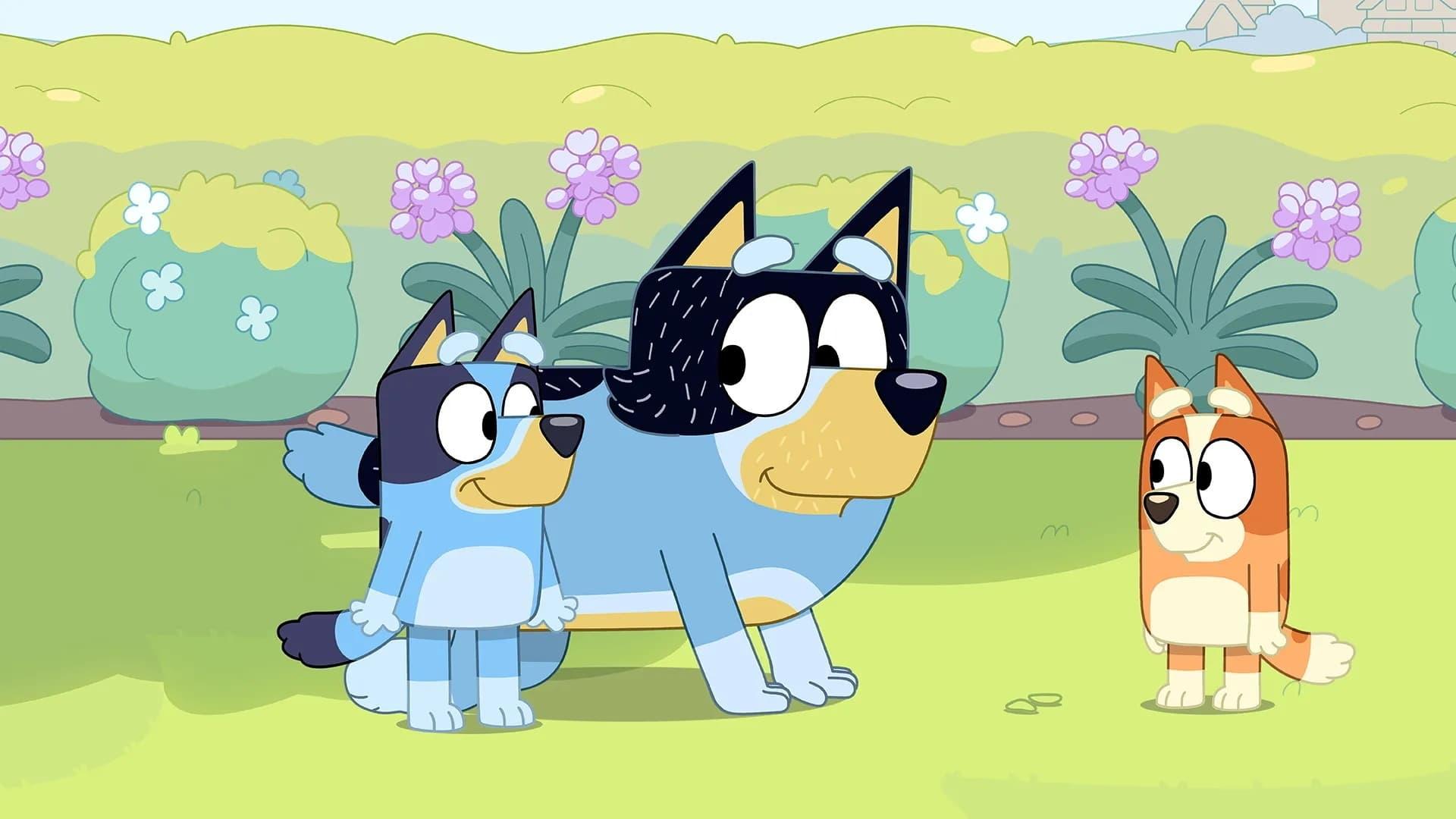 Still from Sheep Dog