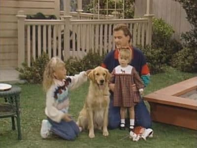 Still from And They Call It Puppy Love