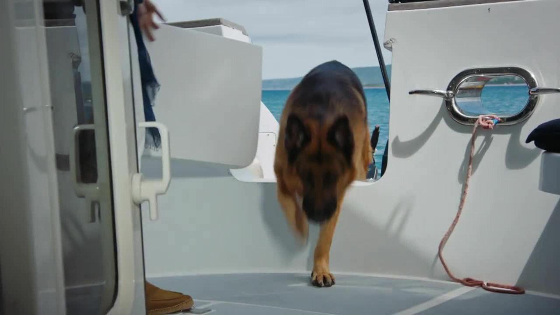 Still from Rex Marks the Spot