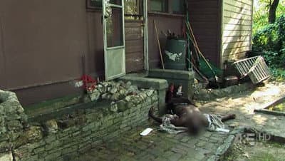 Still from Bad Call / Ricochet