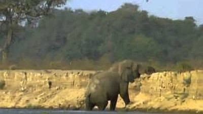 Still from Vanishing Pools of the Zambezi