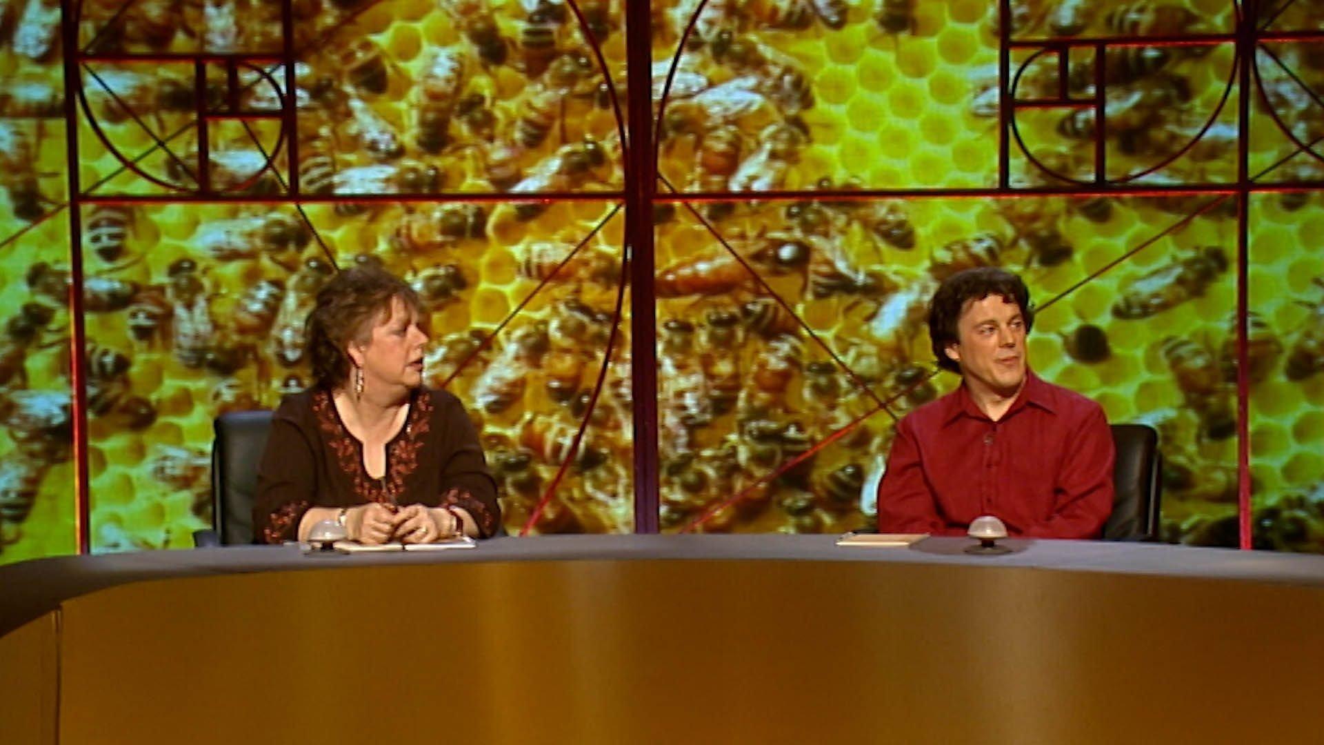 Still from Bees