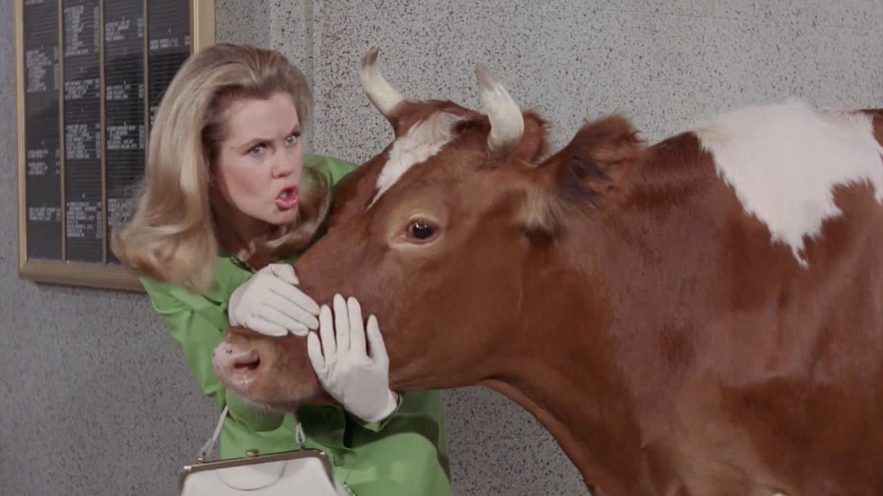 Still from The Corn is as High as a Guernsey's Eye