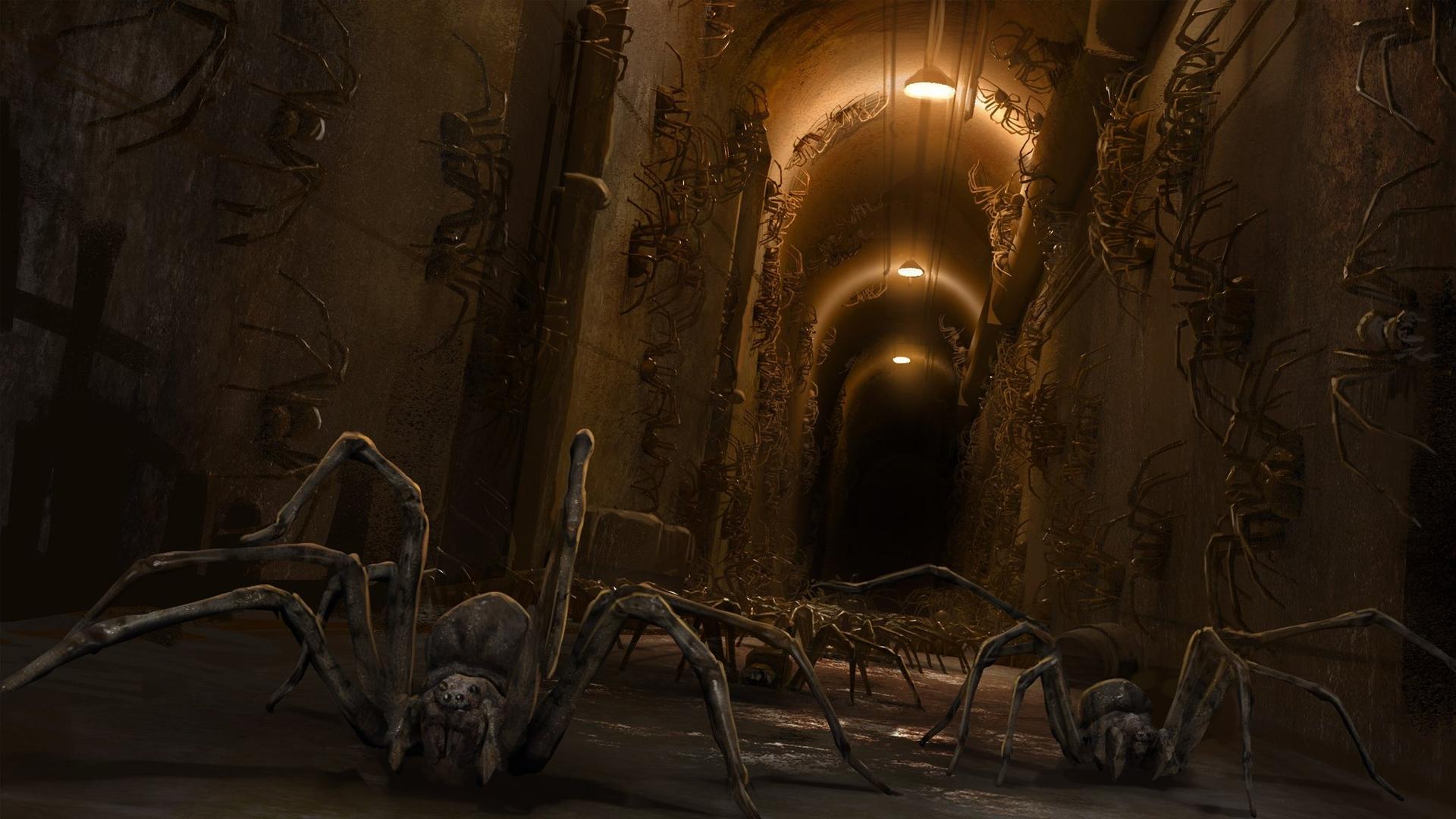 Still from Arachnids in the UK
