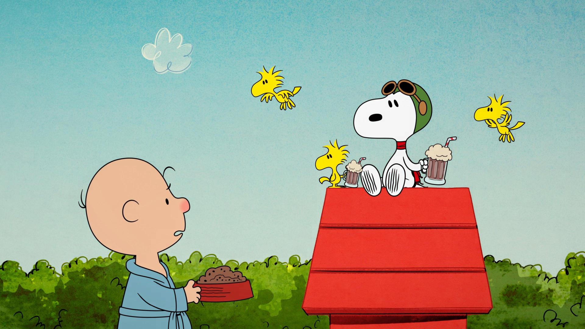 Still from Never Bug a Beagle