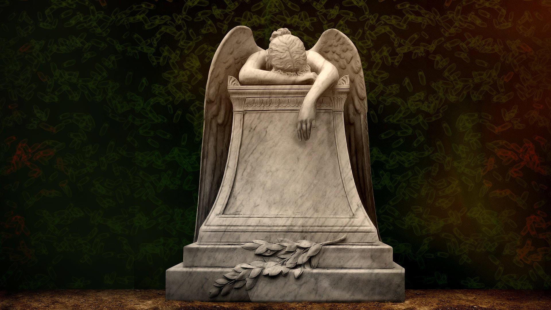 Still from The Forgotten Plague