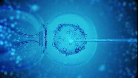Still from IVF