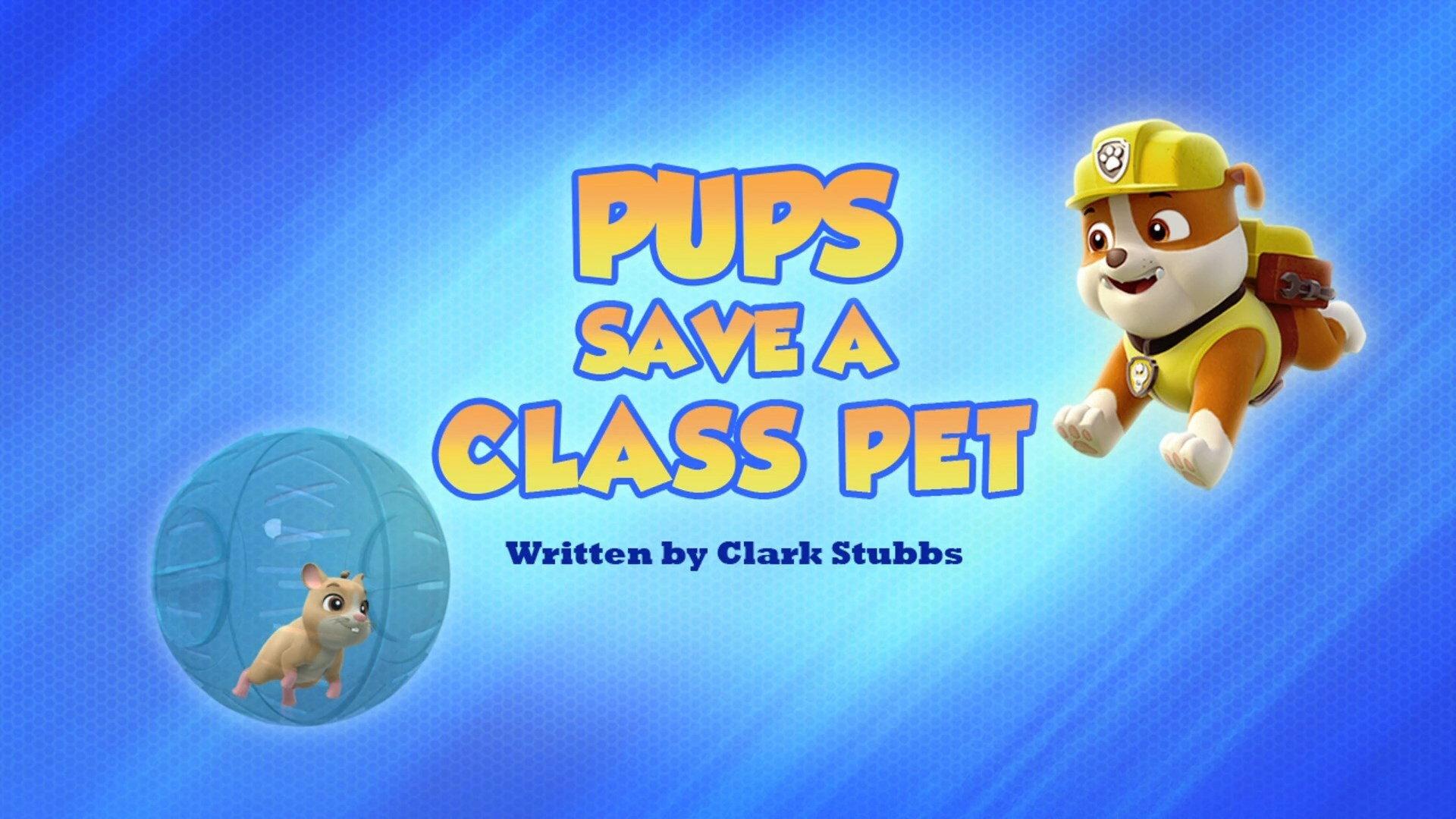 Still from Pups Save a Class Pet