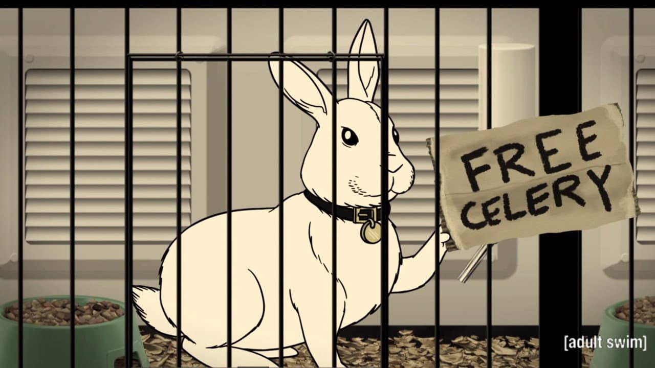 Still from Rabbit, Not Rabbot
