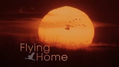 Still from Flying Home
