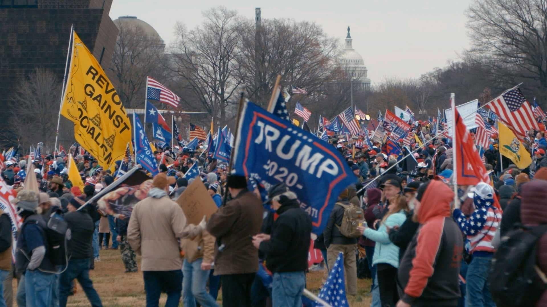 Still from Wednesday, January 6, 2021