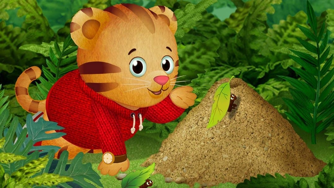 Still from Daniel Explores Nature