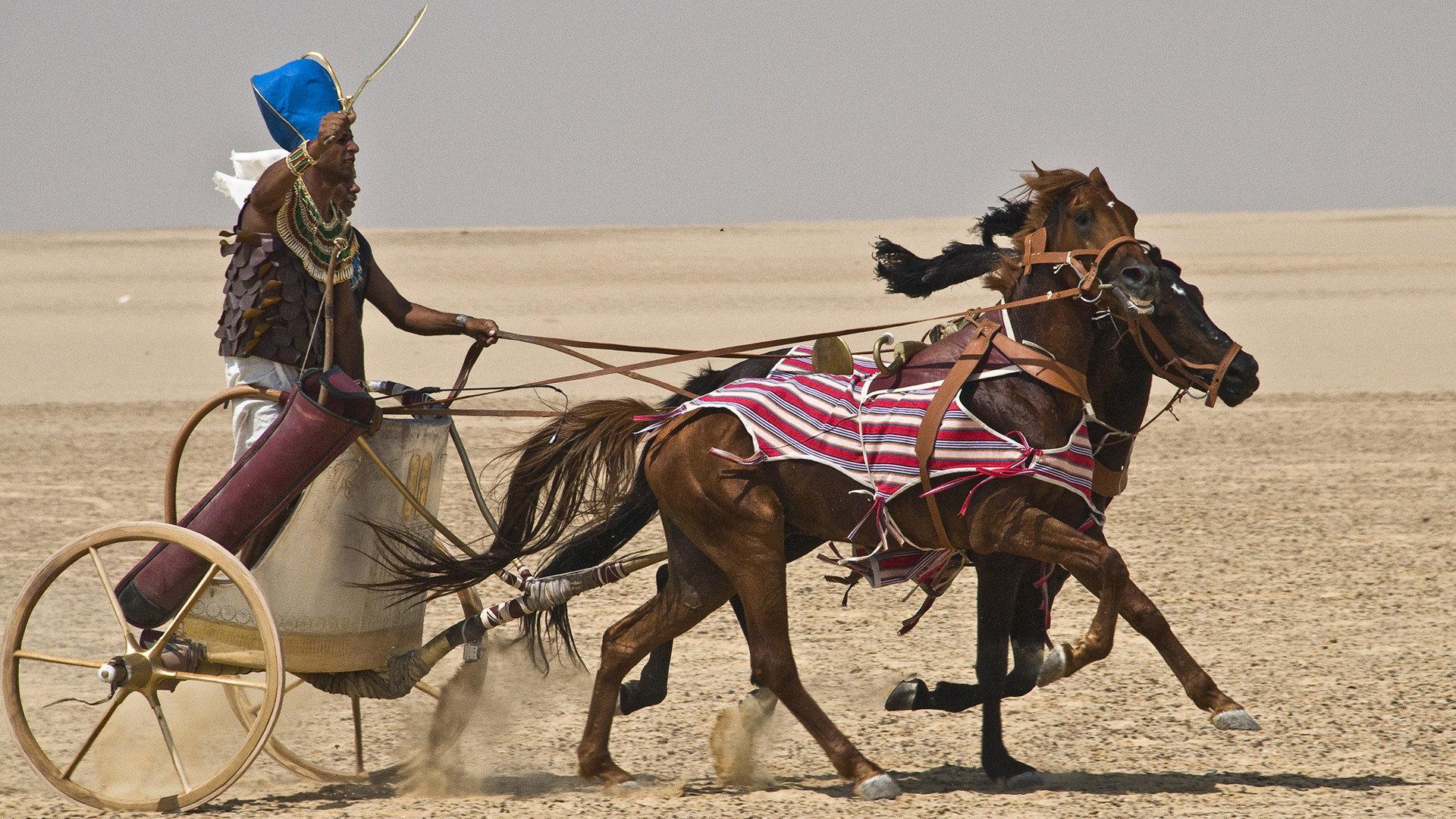 Still from Building Pharaoh's Chariot